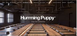 Humming Puppy Yoga New York City